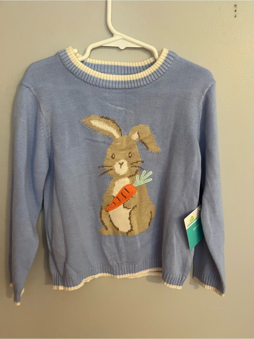 Light Blue Bunny Sweater with Carrot Motif